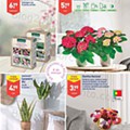 Aldi 3 a 8 março