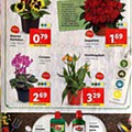 Antevisão Folheto LIDL Promoções de 28 fevereiro a 6 março