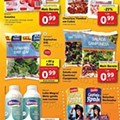 LIDL 21 a 27 fevereiro