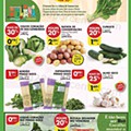 Antevisão Folheto PINGO DOCE Promoções de 15 a 21 março