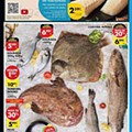 Antevisão Folheto PINGO ODCE Promoções de 8 a 14 março