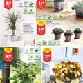 Antevisão Folheto ALDI Promoções de 16 a 22 março