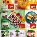 Antevisão Folheto LIDL Promoções de 7 a 13 março