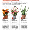 LIDL Primavera
