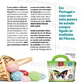 LIDL Primavera