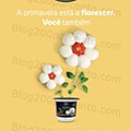 LIDL Primavera
