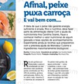 LIDL Primavera
