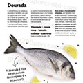 LIDL Primavera