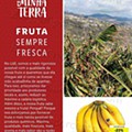 LIDL a minha terra