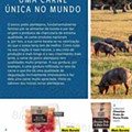 LIDL a minha terra