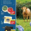 LIDL a minha terra