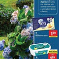 LIDL a minha terra