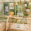 Casa Primavera
