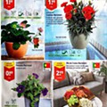 Antevisão Folheto ALDI Promoções de 20 a 26 abril