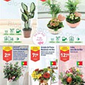 Antevisão Folheto ALDI Promoções de 27 abril a 3 maio