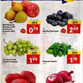 Antevisão Folheto LIDL Promoções de 11 a 17 abril