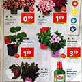 Antevisão Folheto LIDL Promoções de 11 a 17 abril