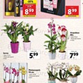Antevisão Folheto LIDL Promoções de 25 abril a 1 maio edição digital
