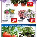 Antevisão Folheto LIDL Edição Digital Promoções de 16 a 22 maio