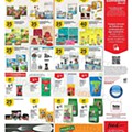 Antevisão Folheto CONTINENTE Bom Dia Promoções de 10 a 16 maio