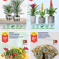 Antevisão Folheto ALDI Promoções de 15 a 21 junho
