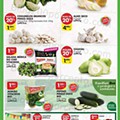 Antevisão Folheto PINGO DOCE Lojas Norte Promoções de 14 a 20 junho