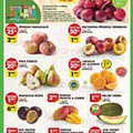 Antevisão Folheto PINGO DOCE Lojas Grandes Promoções de 14 a 20 junho
