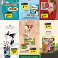 Antevisão Folheto COVIRAN 21 junho a 3 julho