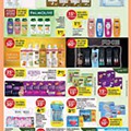 Antevisão Folheto PINGO DOCE Açores Promoções de 7 a 13 julho