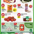 Antevisão Folheto PINGO DOCE Lojas Norte Promoções de 5 a 11 julho