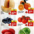 Antevisão Folheto LIDL Promoções de 11 a 17 julho - completo