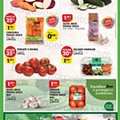 Antevisão Folheto PINGO DOCE Promoções de 5 a 11 julho