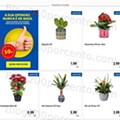 Antevisão Folheto LIDL Promoções de 11 a 17 julho extra