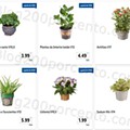Antevisão Folheto LIDL Promoções de 11 a 17 julho extra