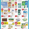 Antevisão Folheto PINGO DOCE Lojas Norte Promoções de 19 a 25 julho
