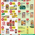 Antevisão Folheto PINGO DOCE Lojas Norte Promoções de 19 a 25 julho