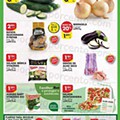 Antevisão Folheto PINGO DOCE Lojas Norte Promoções de 19 a 25 julho