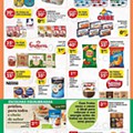 Antevisão Folheto PINGO DOCE Madeira Promoções de 19 a 25 julho