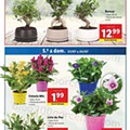 Antevisão Folheto LIDL Promoções de 18 a 24 julho