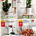 Antevisão Folheto ALDI Promoções de 20 a 26 julho