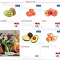 Antevisão Folheto LIDL Promoções de 18 a 24 julho