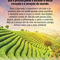 Antevisão Folheto LIDL Alimentação Alternativa Promoções a partir de 25 julho