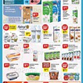 Antevisão Folheto PINGO DOCE Madeira Promoções de 26 julho a 1 agosto