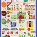 Antevisão Folheto PINGO DOCE Lojas Norte Promoções de 26 julho a 1 agosto