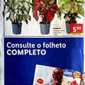 Antevisão Folheto LIDL Promoções de 1 a 7 agosto