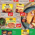 Antevisão Folheto LIDL Promoções de 15 a 21 agosto