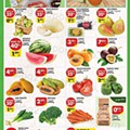 Antevisão Folheto PINGO DOCE Açores Promoções de 4 agosto a 10 agosto