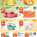 Antevisão Folheto ALDI Promoções de 17 agosto a 23 agosto
