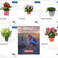 Antevisão Folheto LIDL Promoções de 8 a 14 agosto - Versão Completa