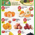 Antevisão Folheto PINGO DOCE Lojas Norte Promoções de 23 a 29 agosto
